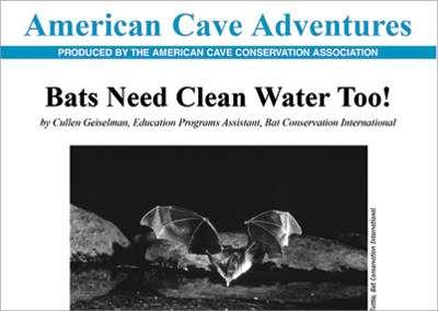 American Cave Adventures – Nashville Publication Design