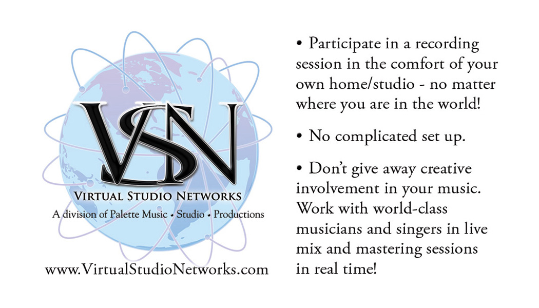 Virtual Studio Networks Business Card